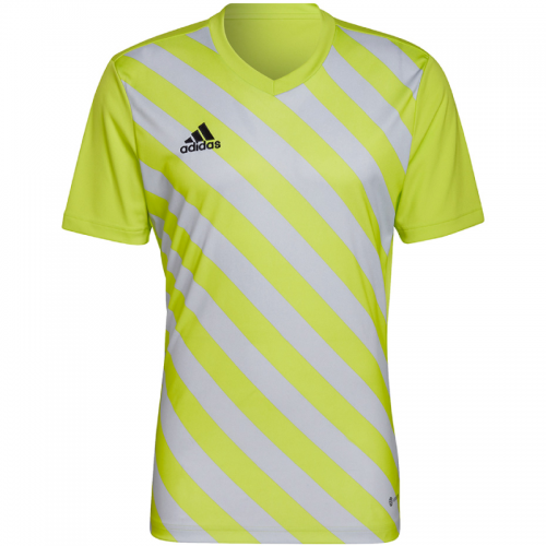 Vyriški Marškinėliai Adidas Entrada 22 Grafinis Džersis Geltonai Pilkas HF0118